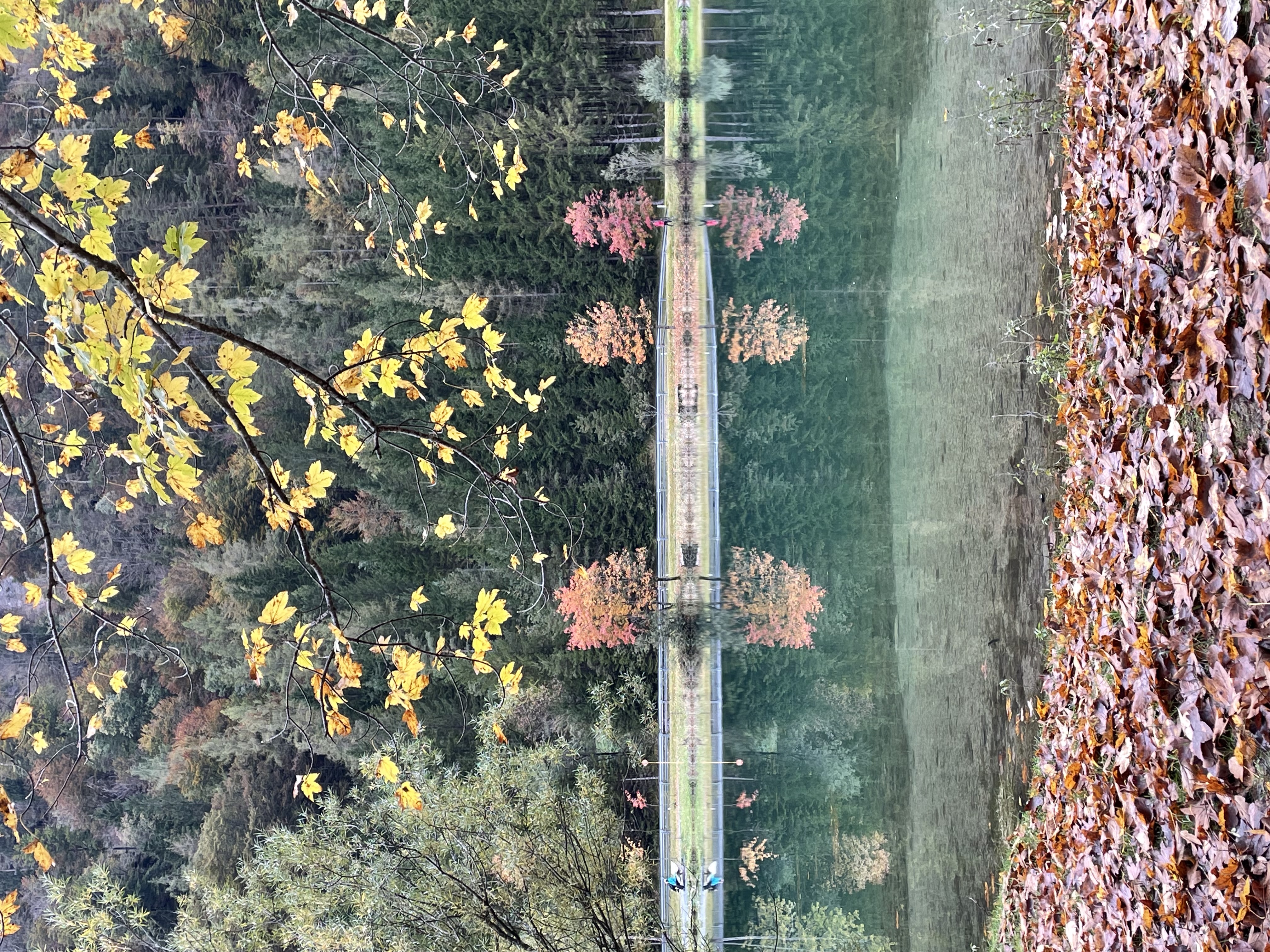 Herbstlaub am Pillersee