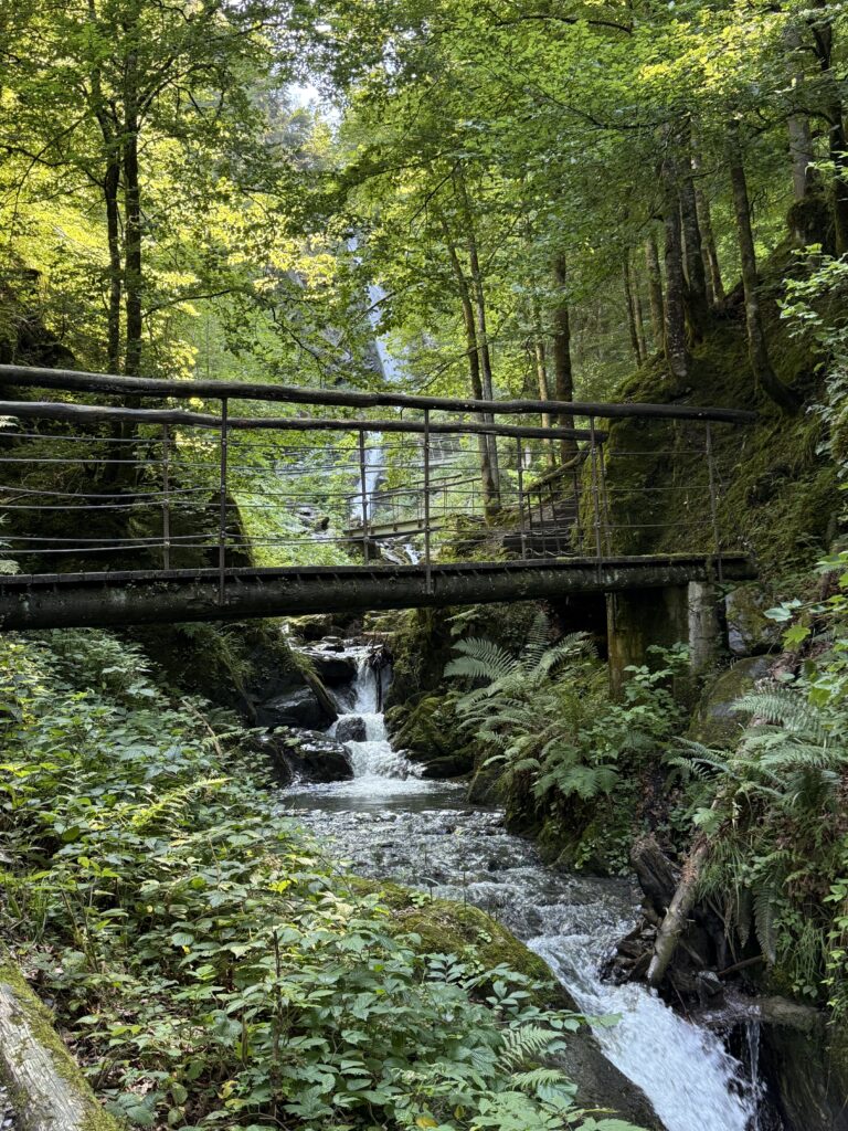 Brücke auf dem Weg zum Eifersbacher Wasserfall