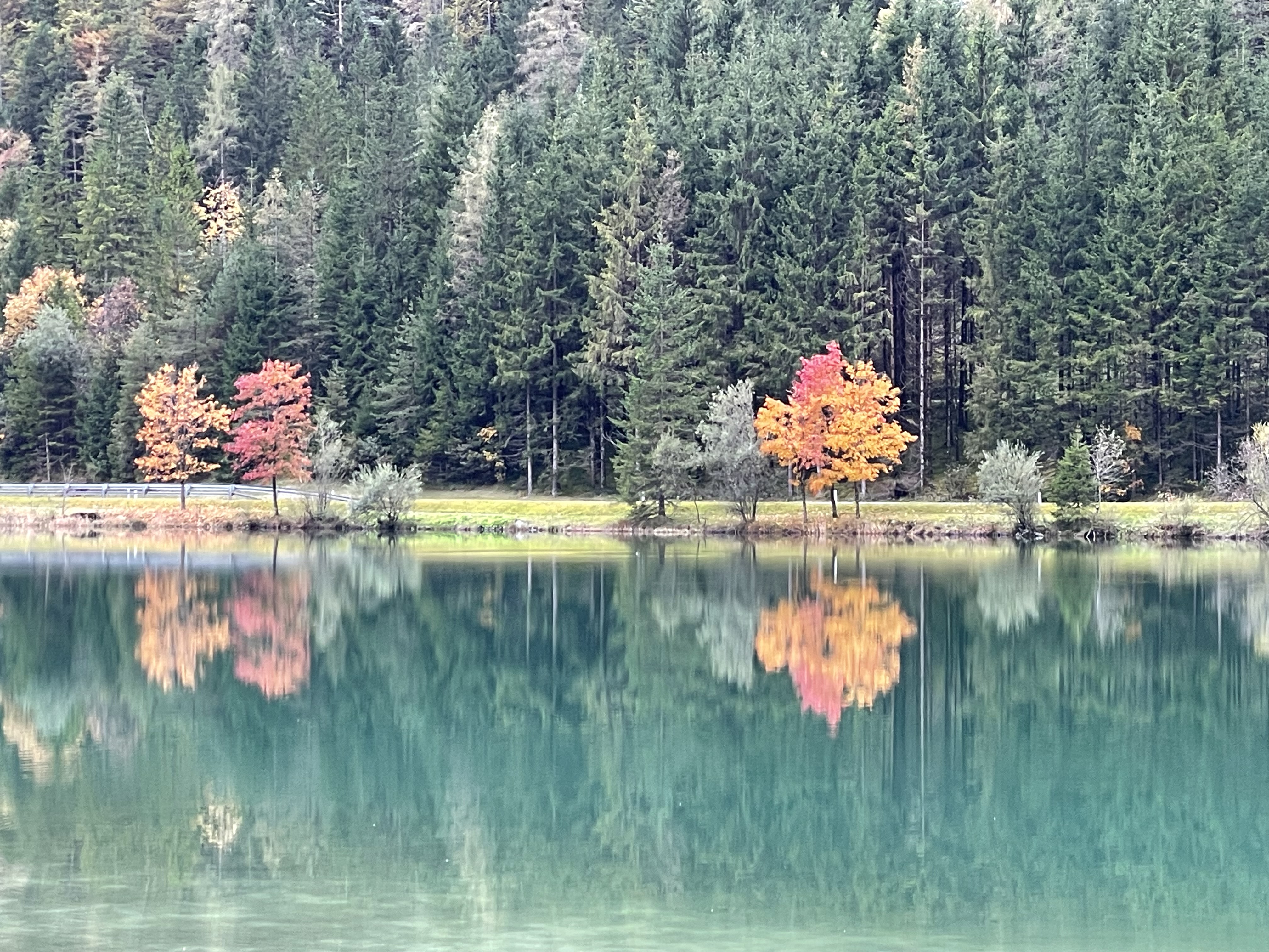 Pillersee Rundweg im Herbst