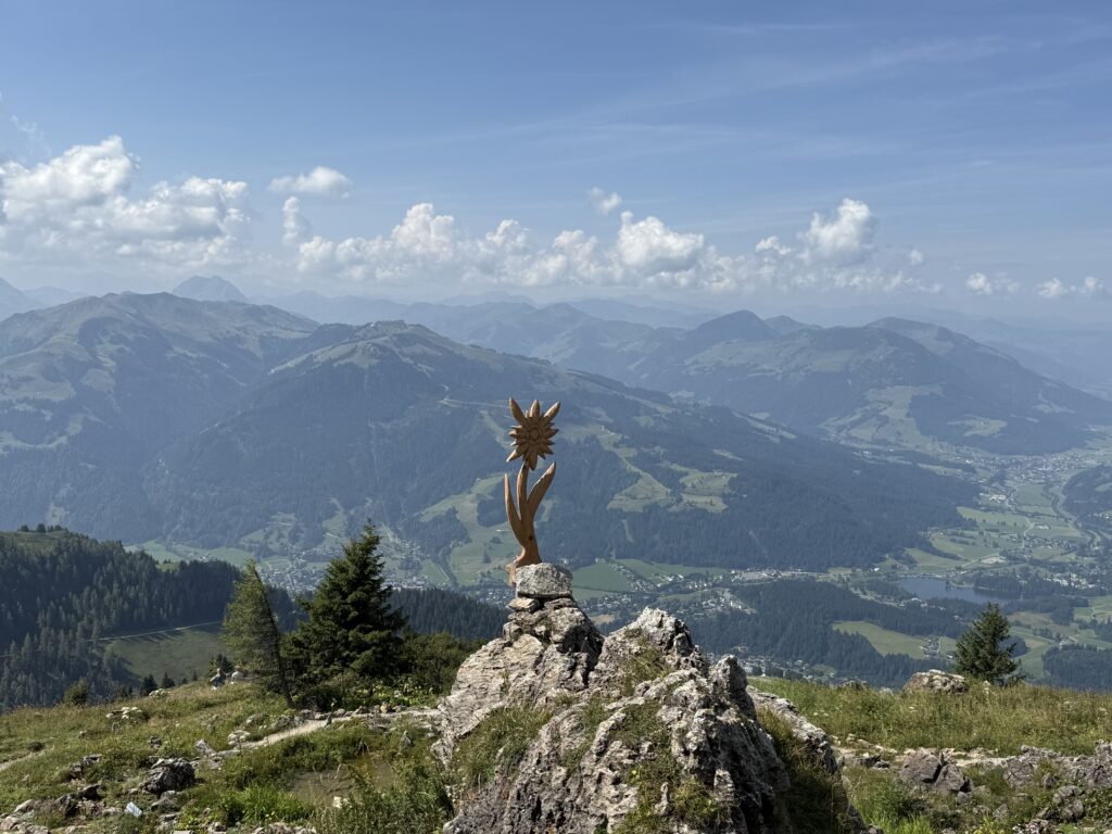 Ausblick mit Edelweiss